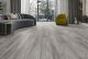 Dove feather elm